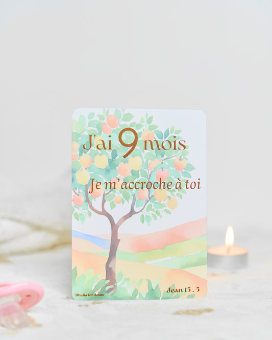 Carte bébé 9 mois