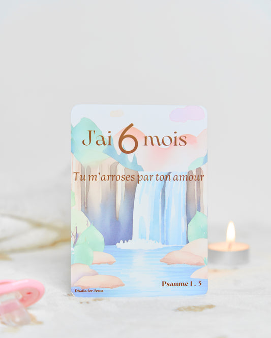 Carte bébé 6 mois