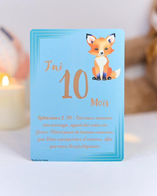 Carte bébé 10 mois