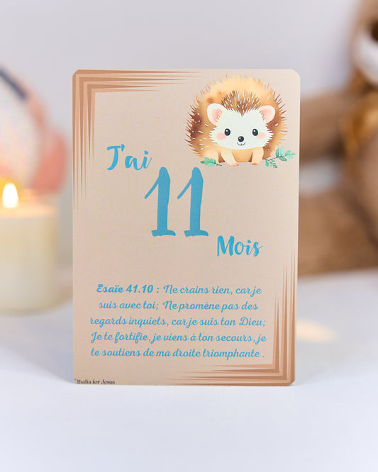 Carte bébé 11 mois