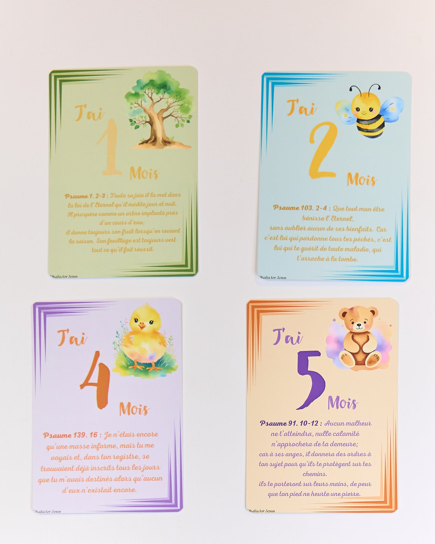 Coffret de Cartes Inspirantes : Versets Bibliques pour chaque Mois de l'année