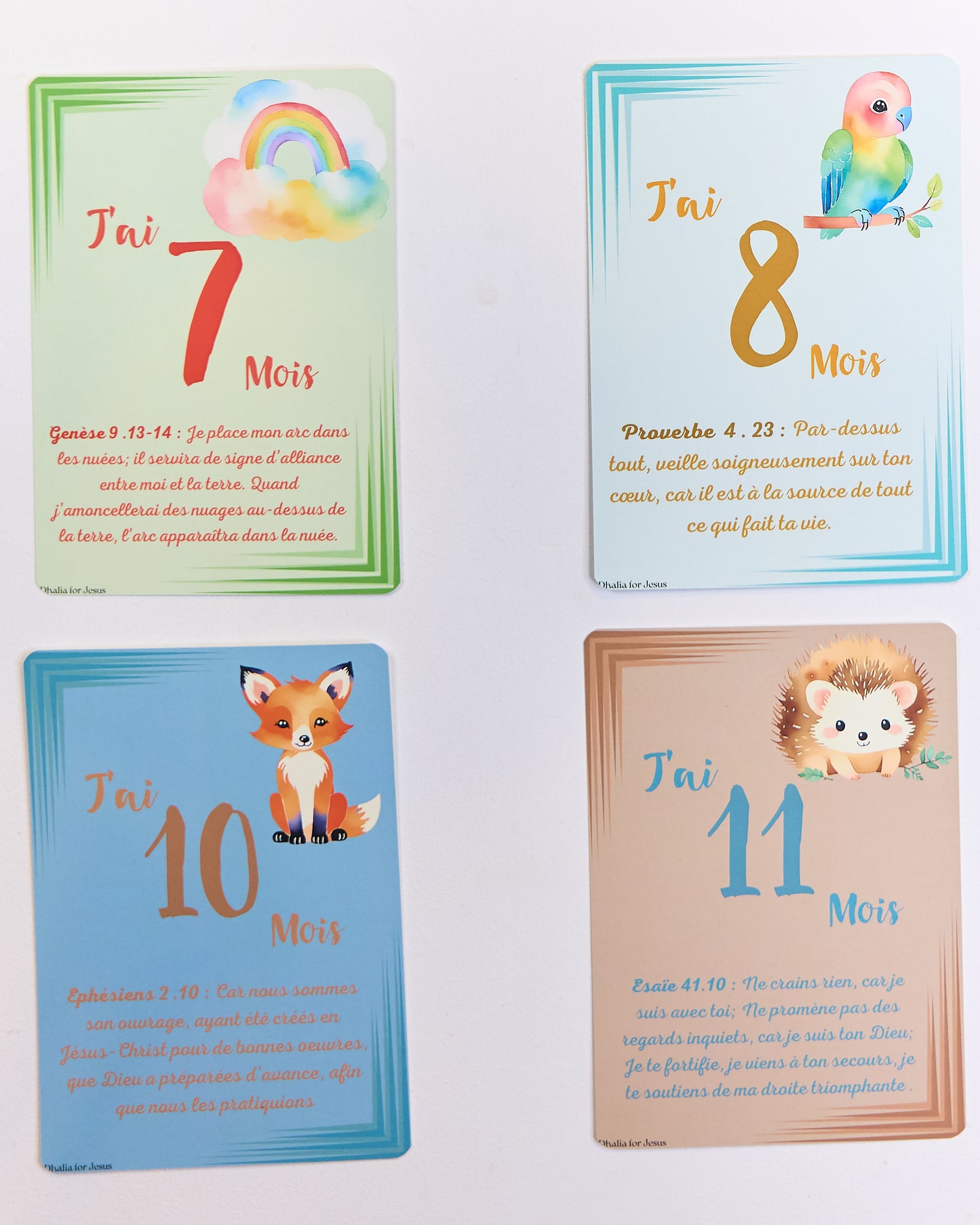 Coffret de Cartes Inspirantes : Versets Bibliques pour chaque Mois de l'année