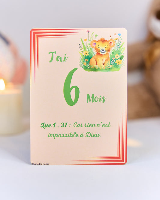 Carte bébé 6 mois