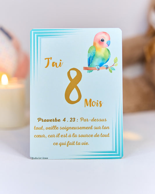 Carte bébé 8 mois