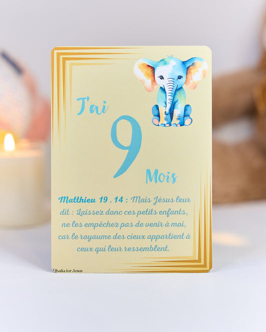 Carte bébé 9 mois