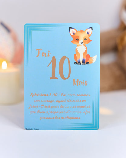 Carte bébé 10 mois